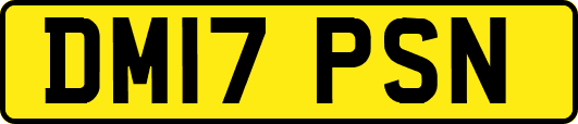 DM17PSN