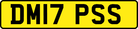 DM17PSS
