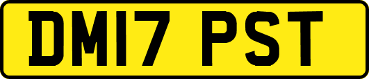 DM17PST