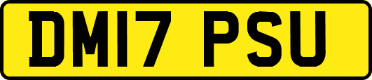 DM17PSU