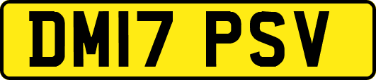 DM17PSV