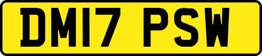 DM17PSW