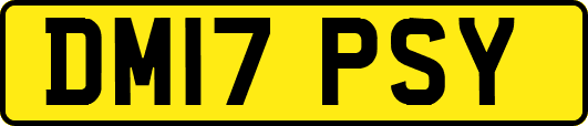 DM17PSY