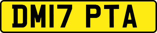 DM17PTA