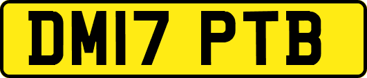 DM17PTB