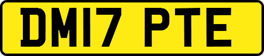 DM17PTE