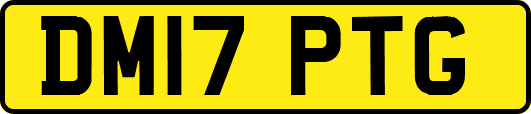 DM17PTG
