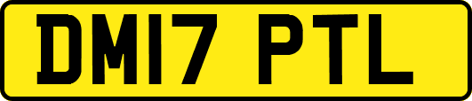 DM17PTL