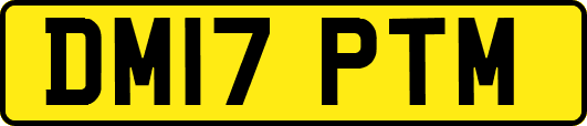 DM17PTM