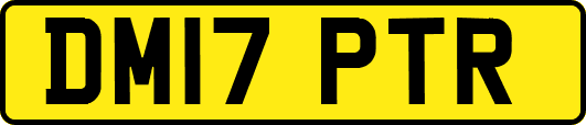DM17PTR