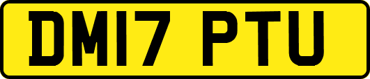 DM17PTU