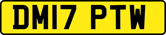 DM17PTW