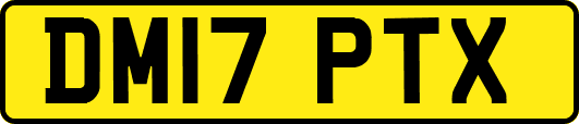 DM17PTX
