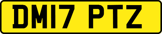 DM17PTZ