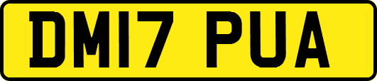 DM17PUA