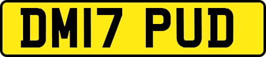 DM17PUD