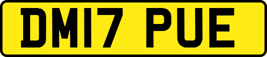 DM17PUE
