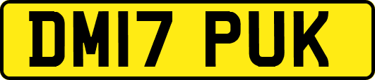 DM17PUK