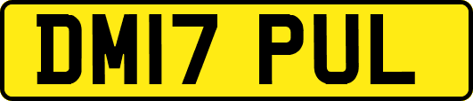DM17PUL