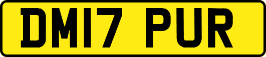 DM17PUR