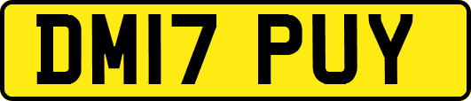 DM17PUY