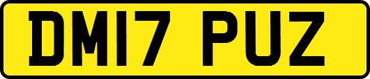DM17PUZ