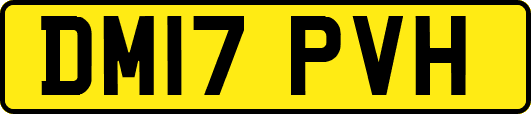 DM17PVH
