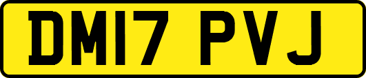 DM17PVJ
