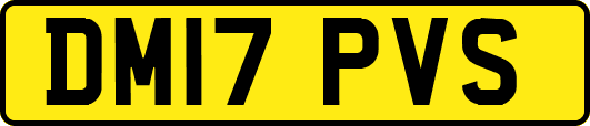 DM17PVS