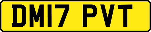 DM17PVT