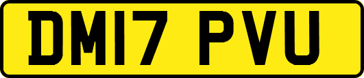 DM17PVU