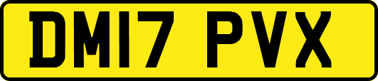DM17PVX
