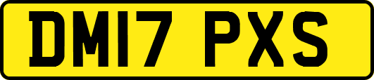 DM17PXS