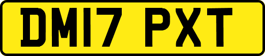 DM17PXT