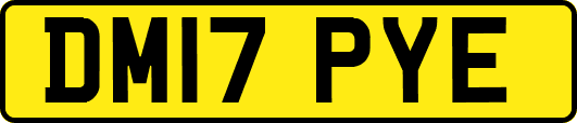 DM17PYE