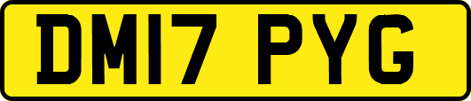 DM17PYG