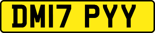 DM17PYY