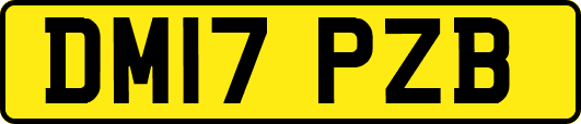 DM17PZB
