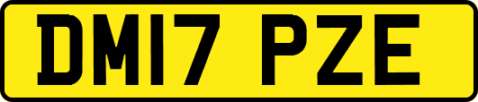 DM17PZE