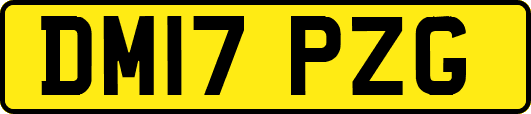 DM17PZG