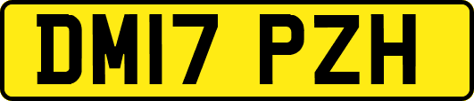 DM17PZH