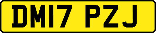 DM17PZJ