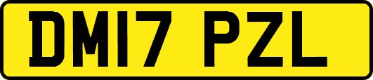 DM17PZL
