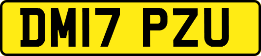 DM17PZU