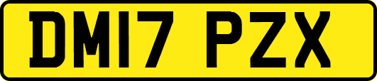 DM17PZX