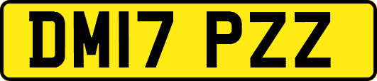 DM17PZZ