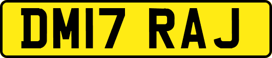 DM17RAJ