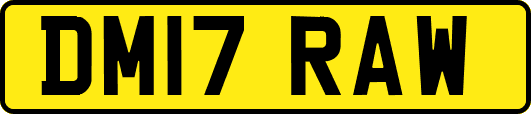 DM17RAW
