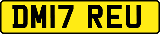 DM17REU