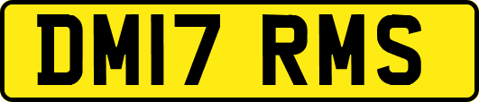 DM17RMS